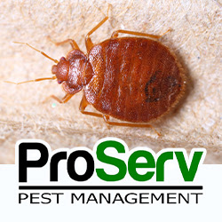 ProServ Pest Management
