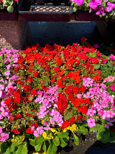 Hardware Store «Payless Hardware, Rockery and Nursery», reviews and photos, 2927 King Rd, San Jose, CA 95122, USA