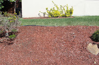 Sanchez Landscaping Service - Photo 3 - Car repair in , San Diego