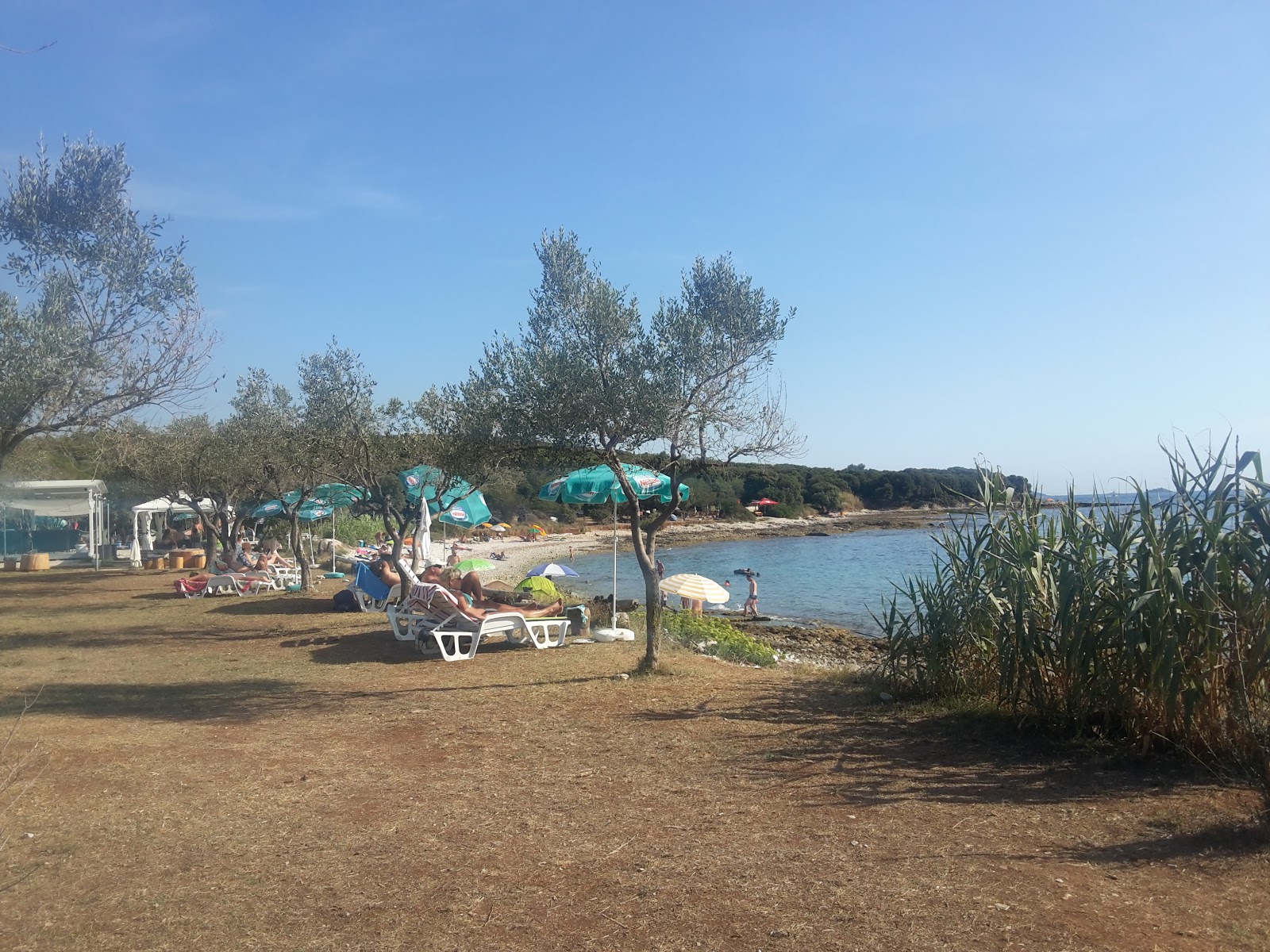 Fotografie cu Castelan beach amplasat într-o zonă naturală