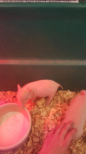 Western Apparel Store «Sacs Western Store», reviews and photos, 125 S Burnside Ave, Gonzales, LA 70737, USA