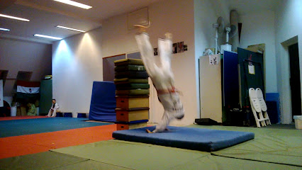 Diamond SE. - Hapkidosuli