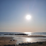 Photo n° 1 de l'avis de Angèle. fait le 20/07/2021 à 20:40 pour Le Littoral Bar à Bretignolles-sur-Mer