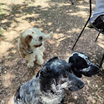 Photo n°4 de l'avis de Carmit. fait le 08/07/2023 à 18:11 sur le  Agriturismo la Montagnola à Torri in Sabina