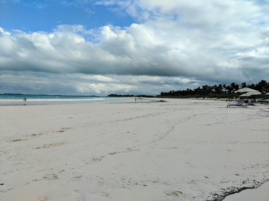 French Leave beach