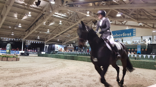 Écoles d'équitation en Calgary