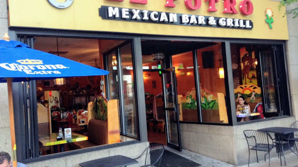 El Potro Mexican Bar & Grill 02143