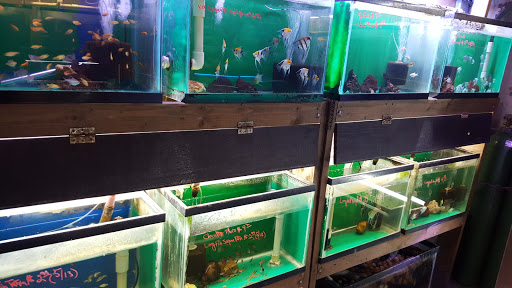 Tropical Fish Store «Keller Farms», reviews and photos, 3405 Denton Hwy, Haltom City, TX 76117, USA