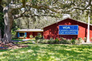 VCA Carrollwood Cat Hospital