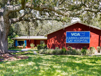 VCA Carrollwood Cat Hospital