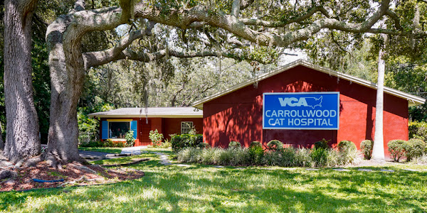VCA Carrollwood Cat Hospital