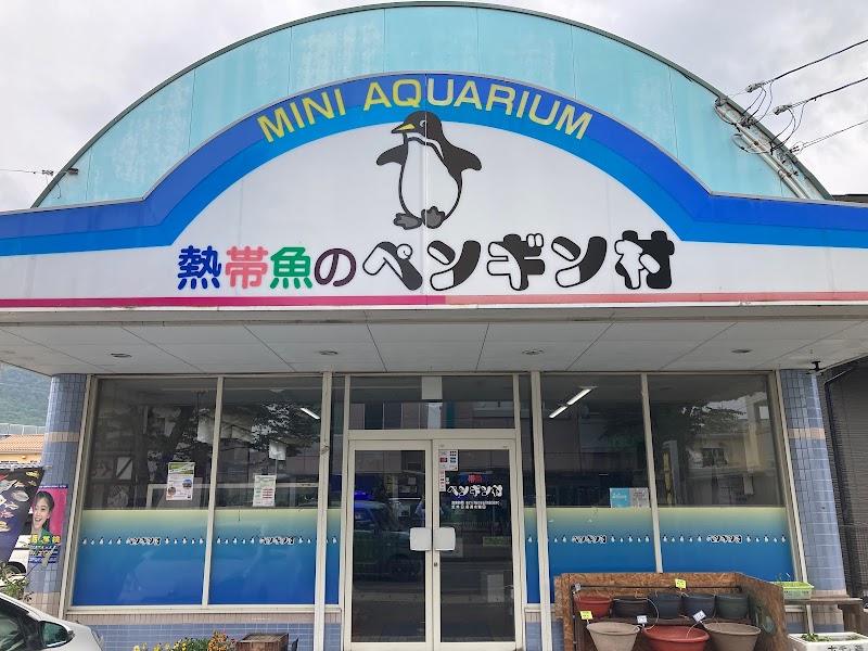 ミニ水族館 熱帯魚のペンギン村