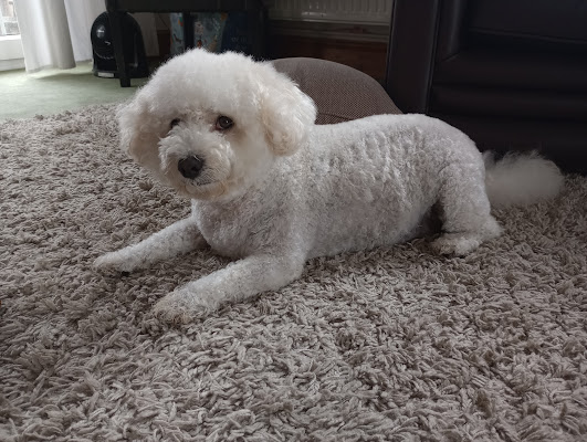 Head Nails And Tails