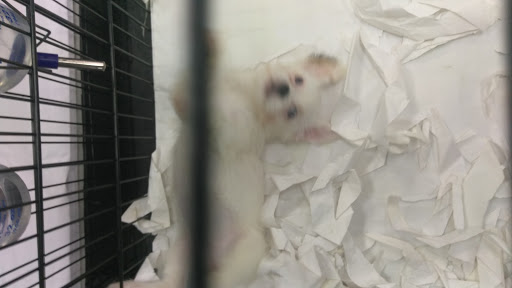 Pet Supply Store «Our Pet World», reviews and photos, 380 Semoran Commerce Pl, Apopka, FL 32703, USA