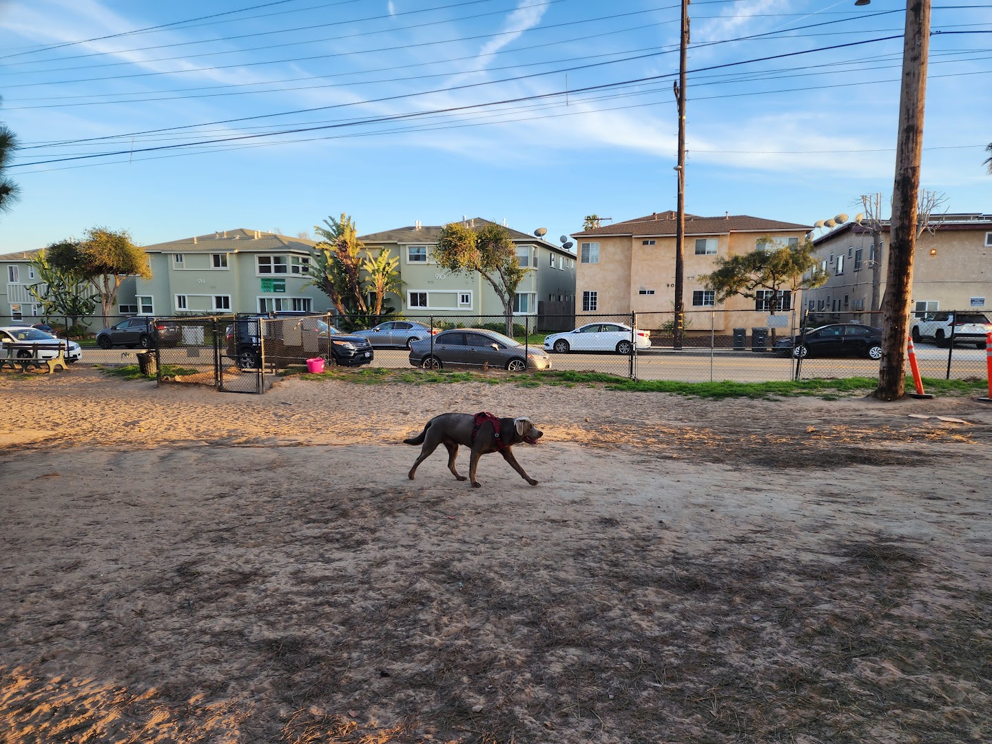 El Segundo Dog Park