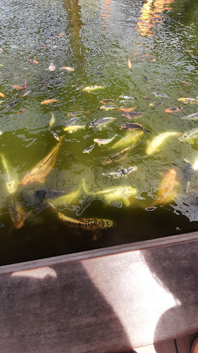 Pet Supply Store «Coral Reef», reviews and photos, 625 W Agency Rd, West Burlington, IA 52655, USA