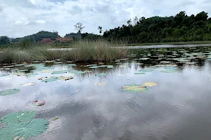 Chini Lake image