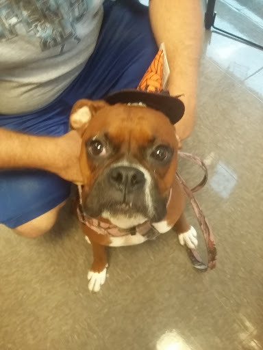 Pet Supply Store «Pet Supplies Plus», reviews and photos, 1530 S Washington St, Crawfordsville, IN 47933, USA