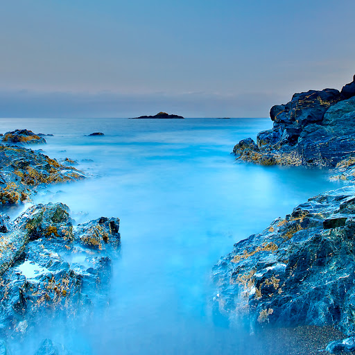 Insurance Broker «Care Value Inc.», reviews and photos