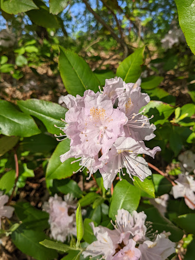 Golf Course «Fresh Pond Golf Course», reviews and photos, 691 Huron Ave, Cambridge, MA 02138, USA