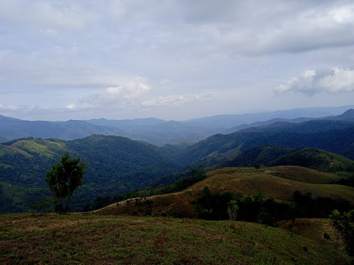 Ngã Ba Lạc