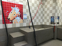 Pet Food Express - Photo 4 - Car repair in Oxnard, CA, Oxnard