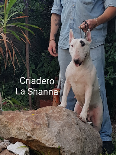 Criadero La Shanna