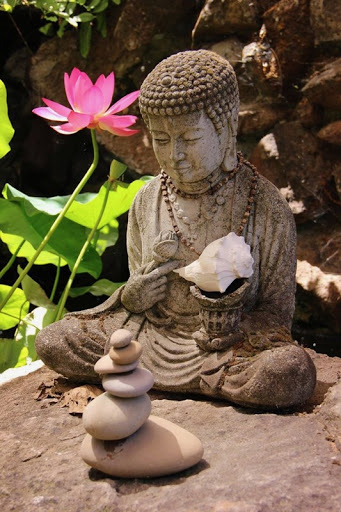 Yoga Studio «Lotus Garden Yoga Annex», reviews and photos, 9739 Fair Oaks Blvd, Fair Oaks, CA 95628, USA