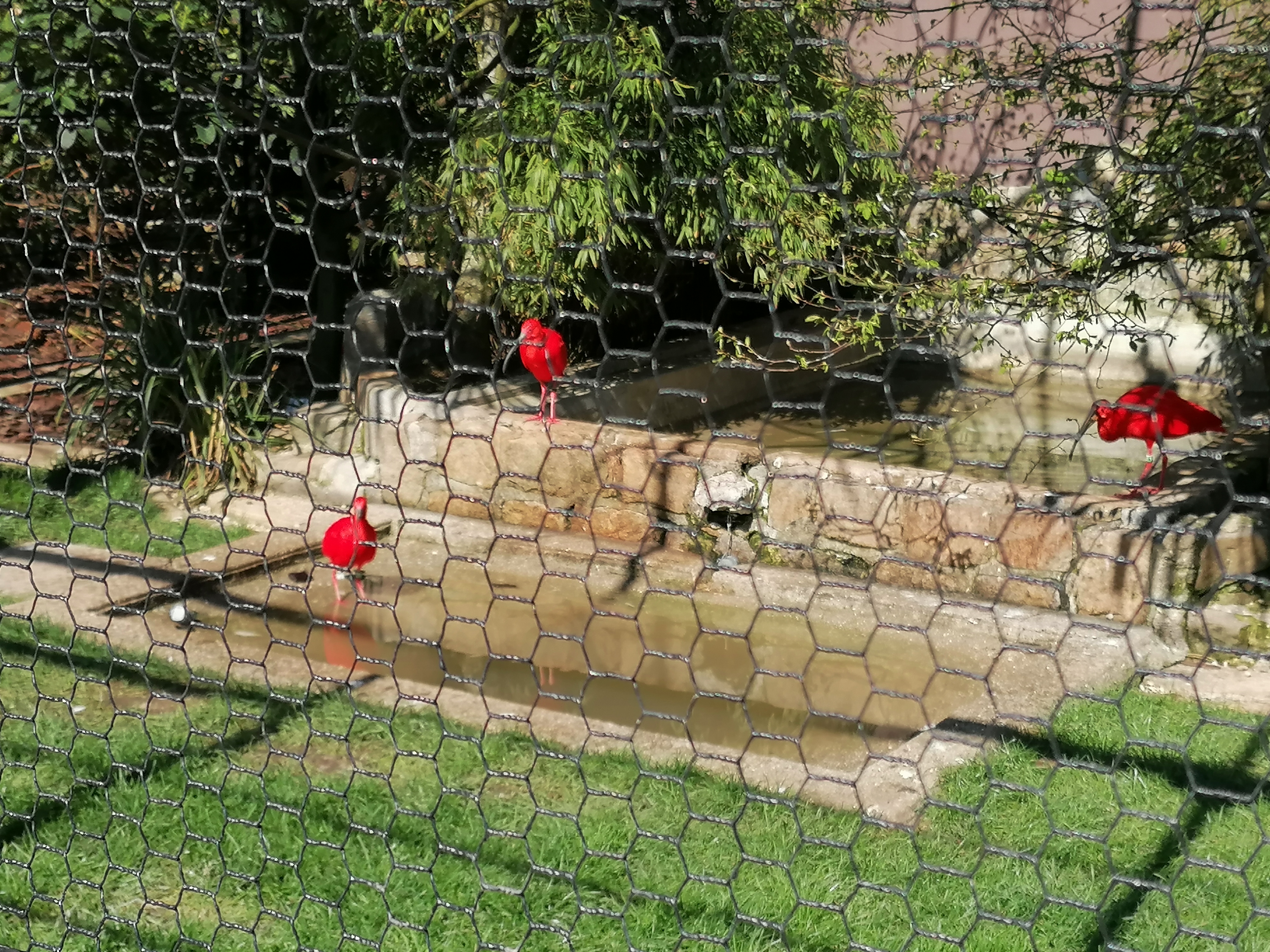 Photo n° 2 de l'avis de Edwige.o fait le 16/04/2023 à 08:24