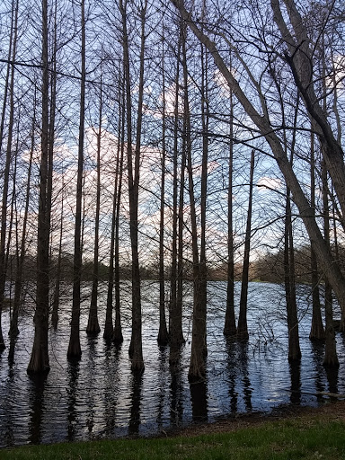 Park «Buffalo Trace Park», reviews and photos, 1540 US-150, Palmyra, IN 47164, USA