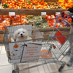 Photo n°1 de l'avis de matteo.i fait le 25/02/2023 à 16:20 sur le  Alìper supermercati - Lagosanto à Lagosanto