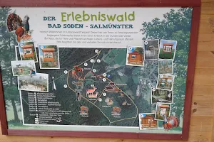 Wildpark am Gudrunsplatz image
