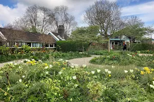 The Tea Garden image