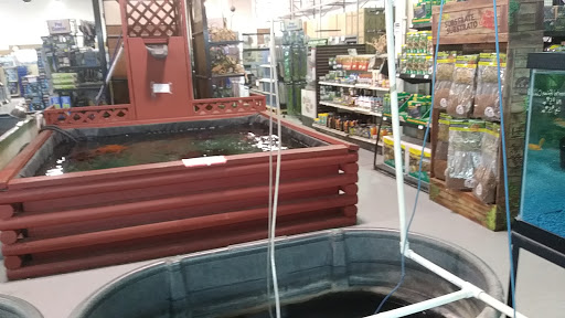 Tropical Fish Store «RMS Aquaculture», reviews and photos, 6629 Engle Rd # 108, Cleveland, OH 44130, USA