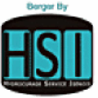 Hydrocurage Service Iserois à Dolomieu