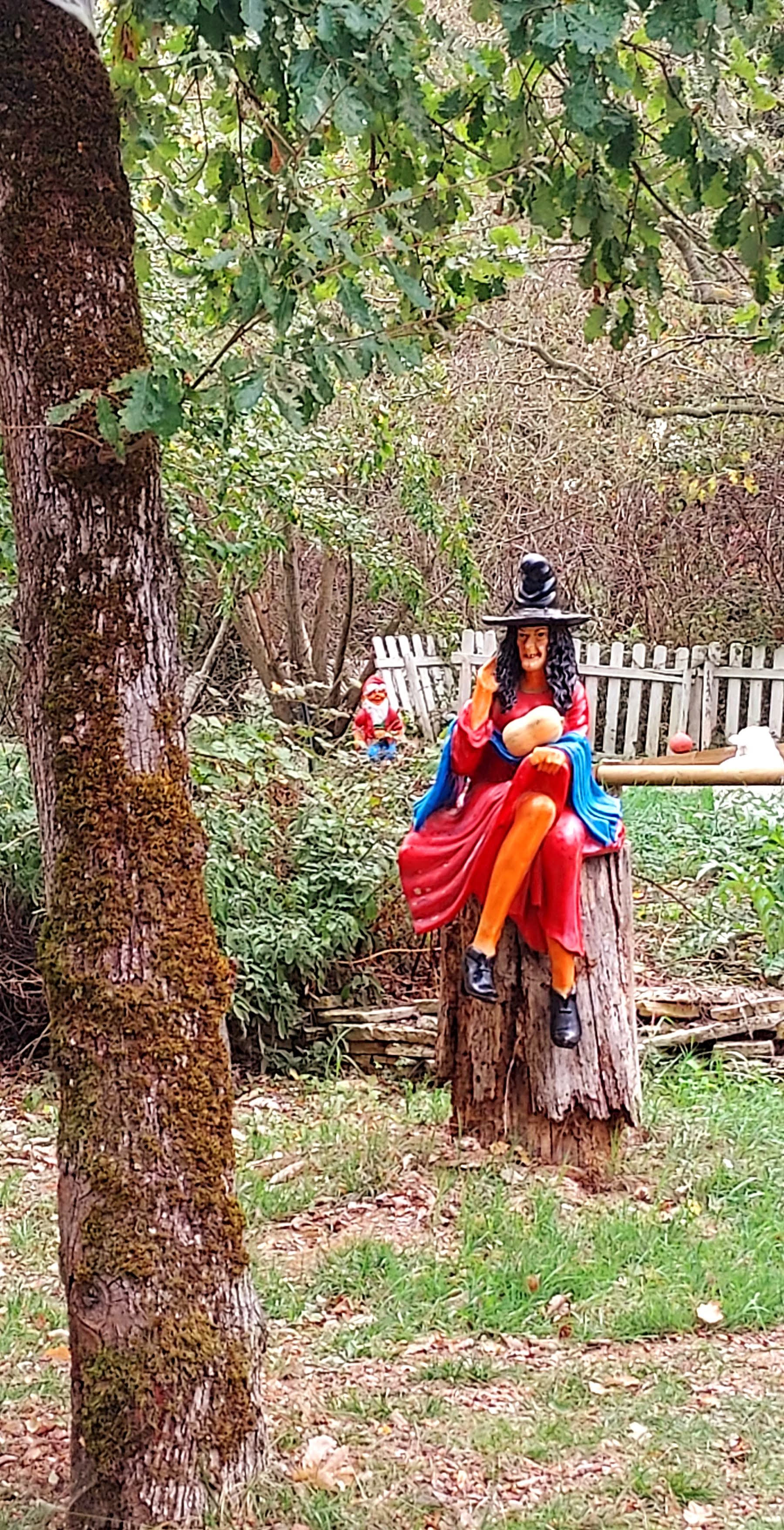 Photo n° 16 de l'avis de Patricia.e fait le 27/10/2022 à 22:10