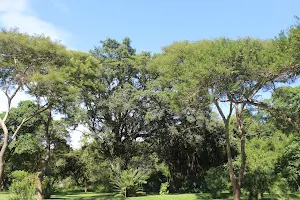 Thohoyandou Botanical Garden image