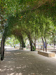 Parks in San Antonio