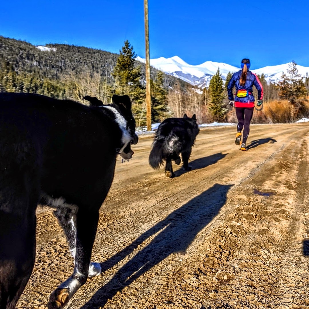 Wildly Balanced Athletics for Dogs