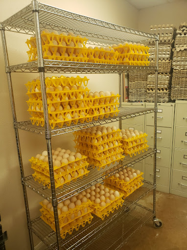 Petal Children’s Task Force – Food Distribution Center