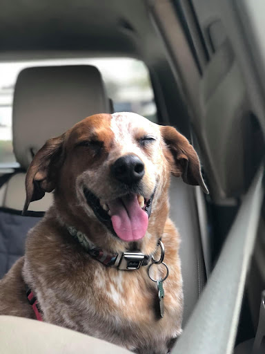 Explore tattoo ideas indian, creative tattoo ideas in Arlington, available at Urbans Tattoo & Piercing Studio