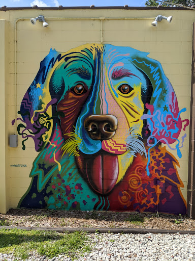 Pet Groomer «The Pet Bow-Tique», reviews and photos, 47 S Central Ave, Oviedo, FL 32765, USA