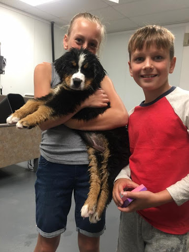 Pet Supply Store «Pet Place Market», reviews and photos, 213 Bendigo Blvd N #2, North Bend, WA 98045, USA