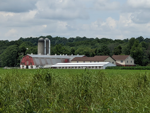 Nature Preserve «Sadsbury Woods Preserve», reviews and photos, Ramblewood Dr & Northwood Dr, Coatesville, PA 19320, USA