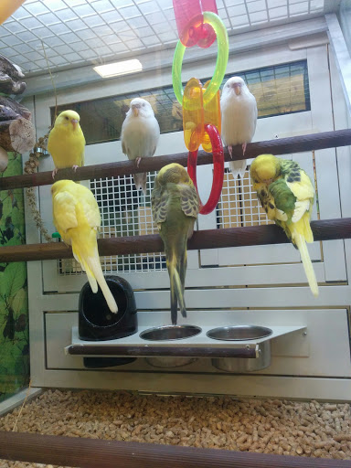 Pet Supply Store «PetSmart», reviews and photos, 6807 W Canal Dr, Kennewick, WA 99336, USA