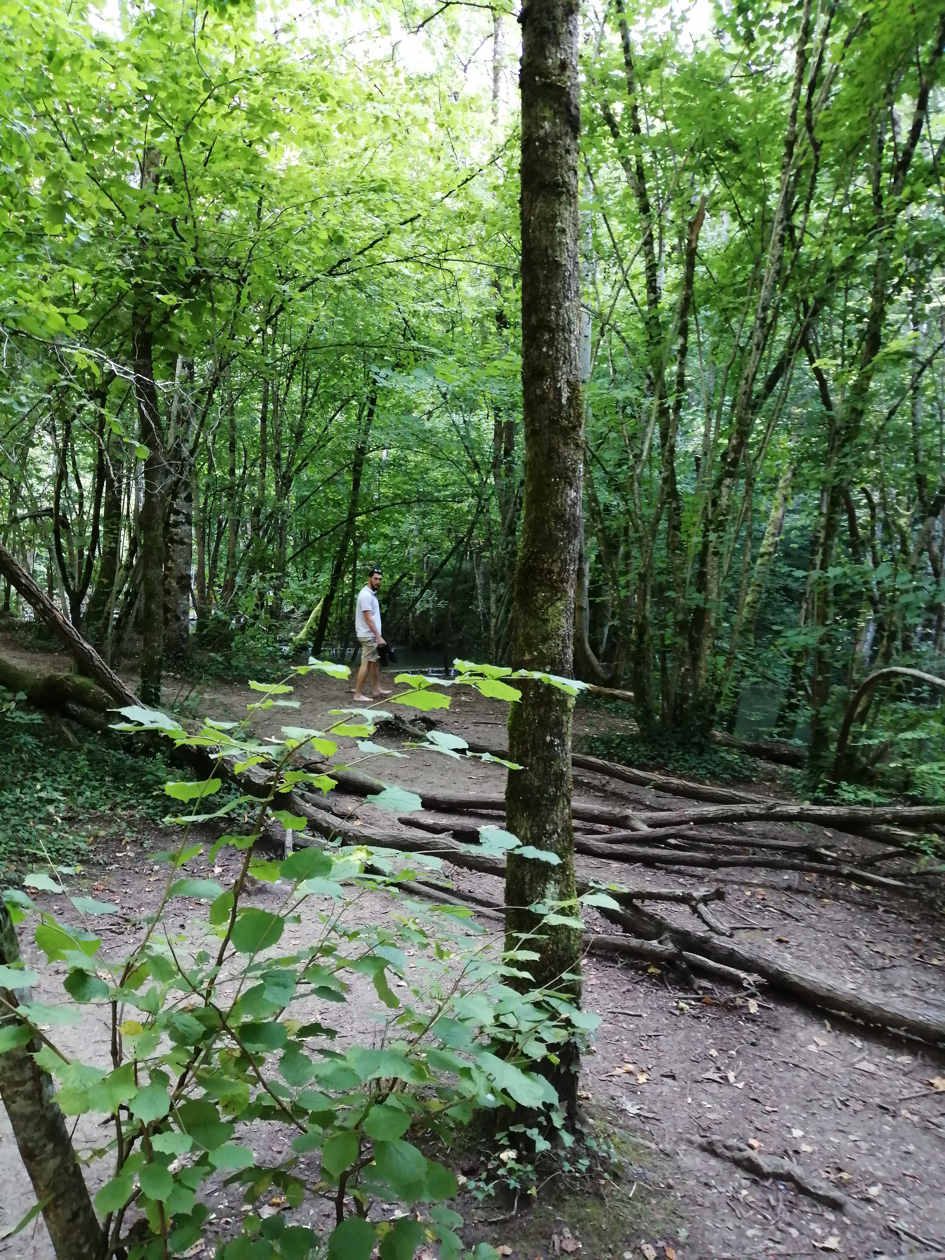 Photo n° 2 de l'avis de Nanou. fait le 12/09/2021 à 15:46