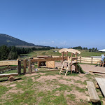 Photo n°1 de l'avis de Stefano.u fait le 14/08/2021 à 10:42 sur le  Agritur Malga Daiano à Ville di Fiemme