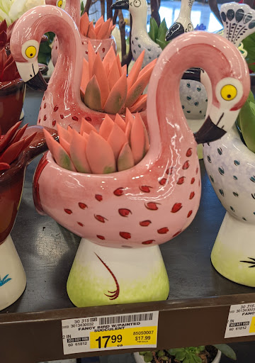 Grocery Store «Safeway», reviews and photos, 926 E Broadway Rd, Tempe, AZ 85282, USA