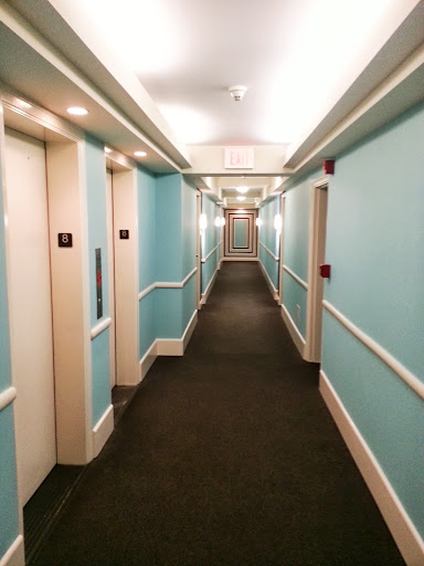 Painter «Williams Professional Painting», reviews and photos, 110 S Floyd St, Alexandria, VA 22304, USA