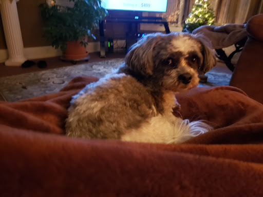 Pet Supply Store «Katzenbarkers Natural Pet Food & Supplies», reviews and photos, 406 2nd Ave S, Wausau, WI 54401, USA